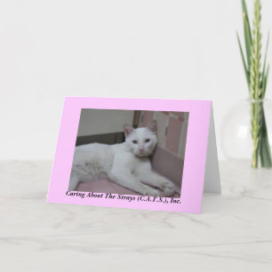 Helmut Notecards
