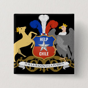 HELP CHILE Coat Of Arms 15 Cm Square Badge