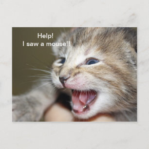 "Help i saw a mouse!" Postcard