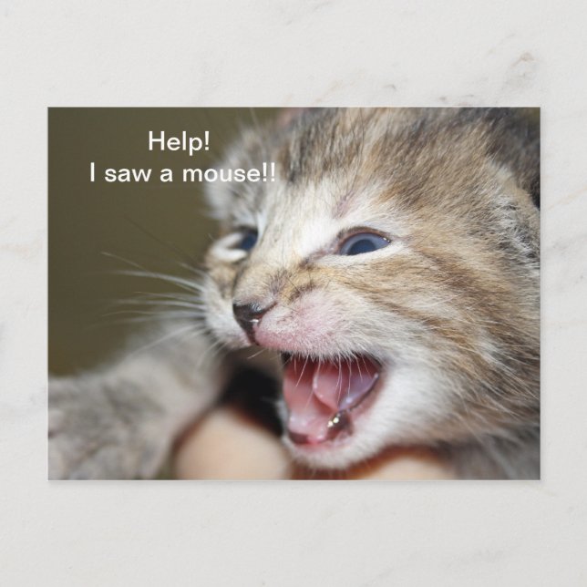 "Help i saw a mouse!" Postcard (Front)