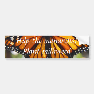 Help monarchs, plant milkweed - Bumper sticker