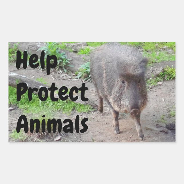 Help Protect Animals Chacoan Peccary #1 Stickers (Front)