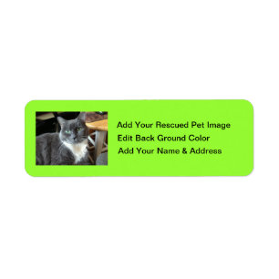 "Help Rescue The Animals Here"