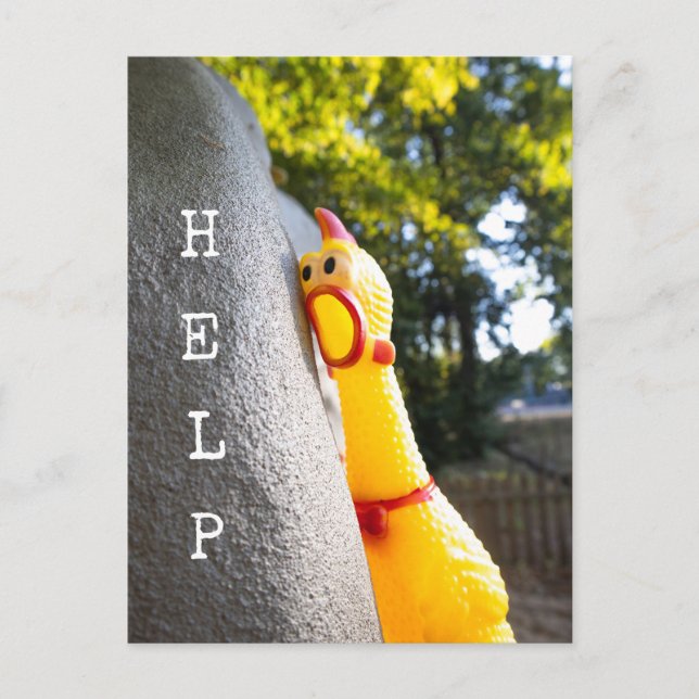 Help Rubber Chicken Postcard (Front)