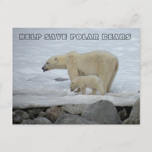 HELP SAVE POLAR BEARS POSTCARD (Front)