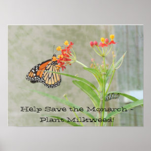 Help Save the Monarch Poster