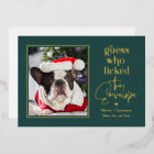 Helpful Pet Foil Holiday Card Christmas Card