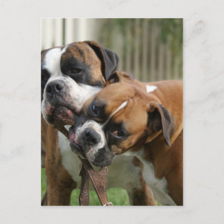 Helping with the Tack Postcard