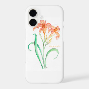 Hemerocallis (Day Lily)