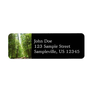 Hemlock Trail at Laurel Hill State Park I