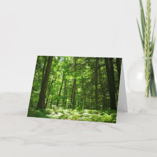 Hemlock Trail at Laurel Hill State Park II Card
