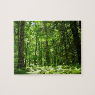 Hemlock Trail at Laurel Hill State Park II Jigsaw Puzzle