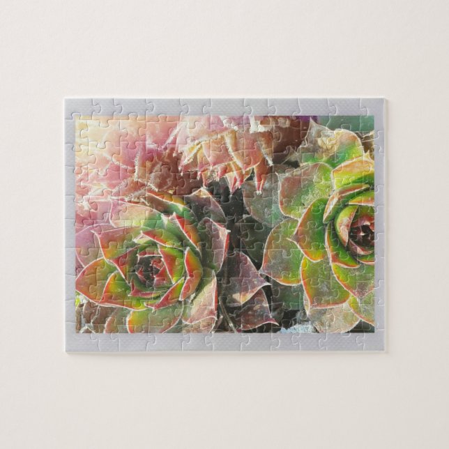 Hen and Chick Plants Jigsaw Puzzle (Horizontal)