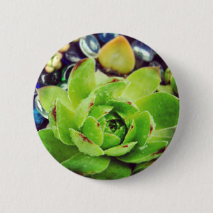 Hen and Chicks 6 Cm Round Badge
