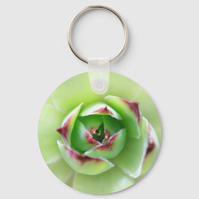 Hen and Chicks Beautiful Succulent Flower Plant Key Ring (Front)