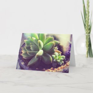 Hen and Chicks Plant Card