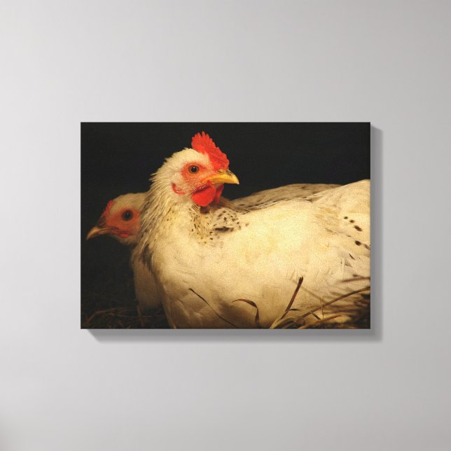 Hen and Rooster in Black and White Canvas Print (Front)