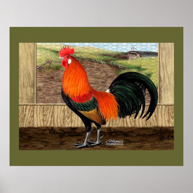 Hen House Hero Poster (Front)