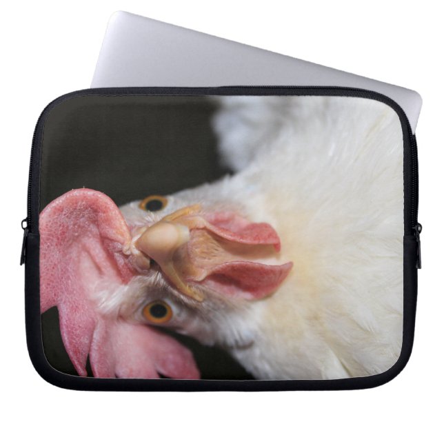 Hen Laptop Sleeve (Front)