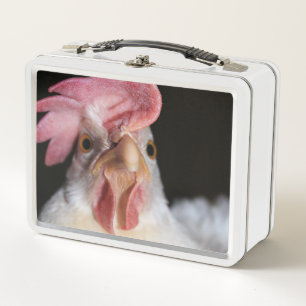 Hen Metal Lunch Box