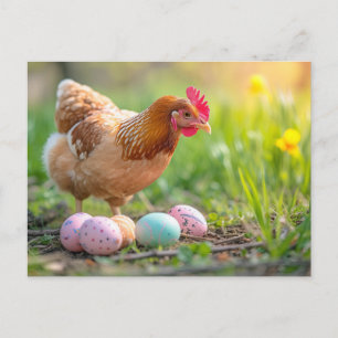 Hen Next to Easter Nest with Colorful Eggs Postcard
