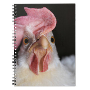 Hen Notebook