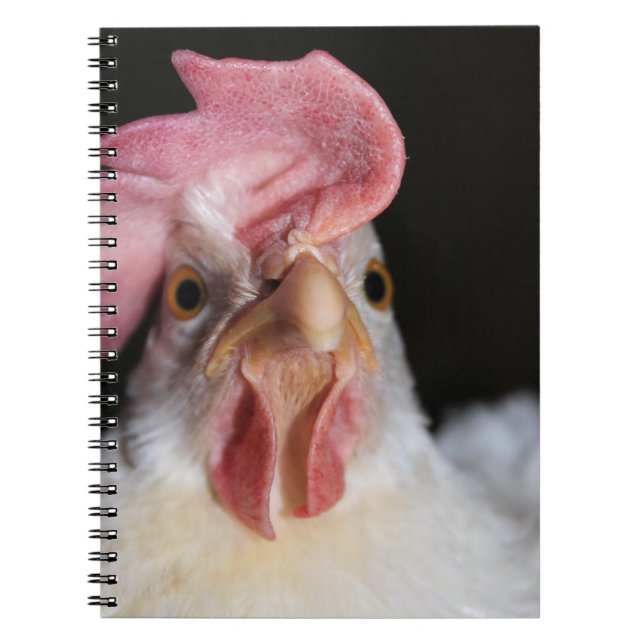 Hen Notebook (Front)