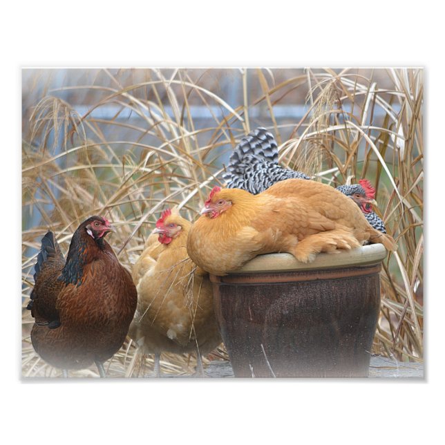 Hen Party Photo Print (Front)