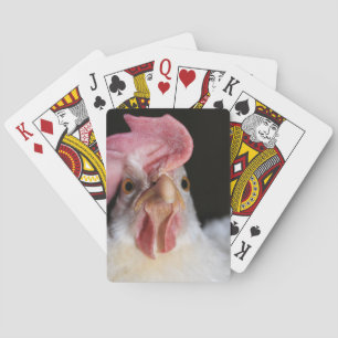 Hen Playing Cards