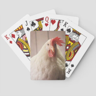 Hen playing cards