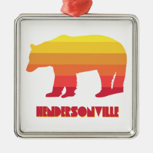 Hendersonville North Carolina Rainbow Bear Metal Tree Decoration