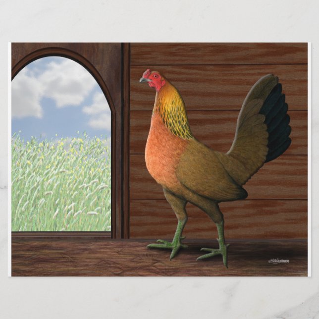 Henhouse View Flyer (Front)