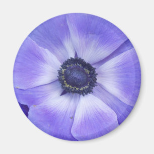 Henrietta Magnet