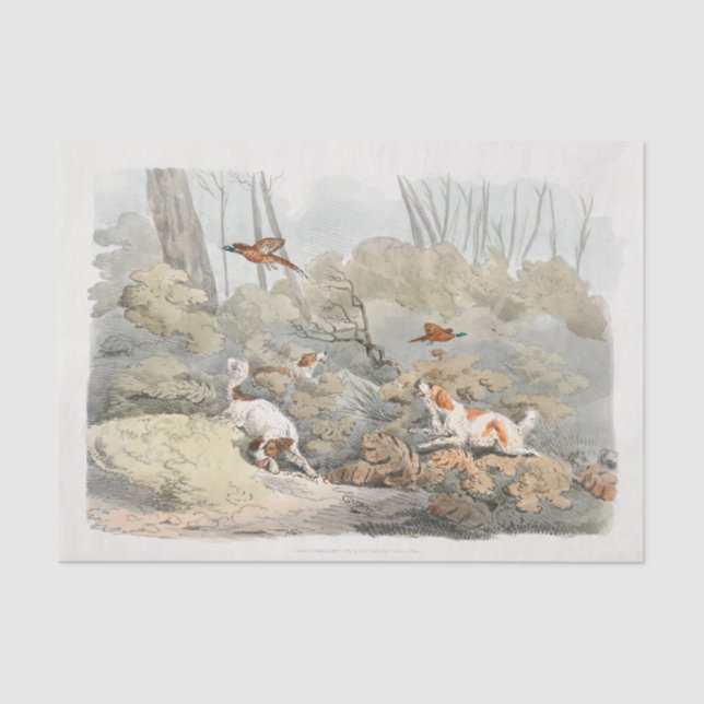 Henry Alken | Dogs Chasing Pheasants Tissue Paper (Front)