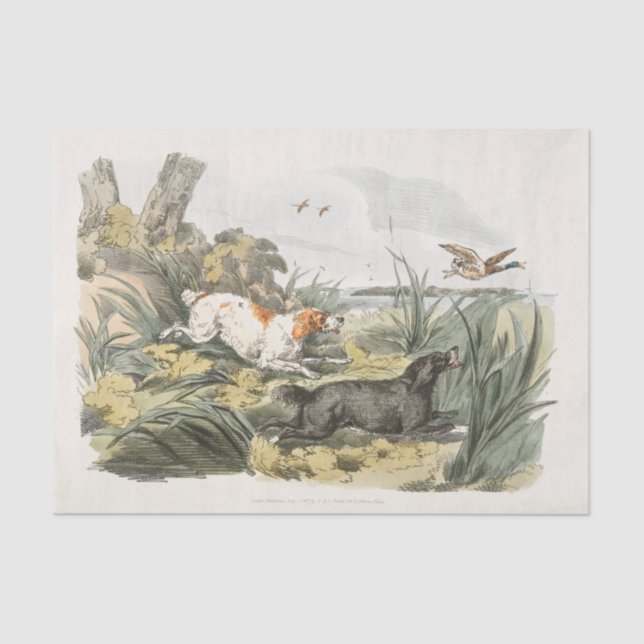 Henry Alken | Hounds on the Hunt Tissue Paper (Front)