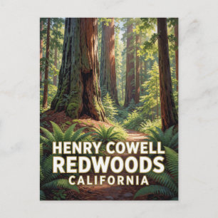 Henry Cowell Redwoods State Park — California Postcard