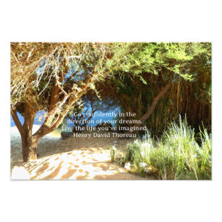 Henry David Thoreau Motivational Dream Quotation Photo Print