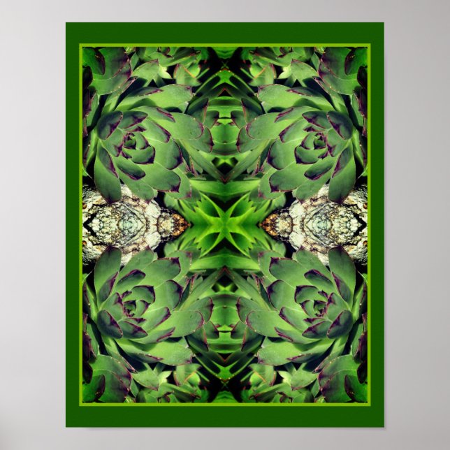 Hens And Chicks Garden Succulent Close Up Abstract Poster (Front)