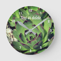 Hens And Chicks Garden Succulents Personalised