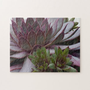 Hens And Chicks Jigsaw Puzzle