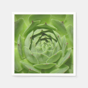 Hens and Chicks Napkin