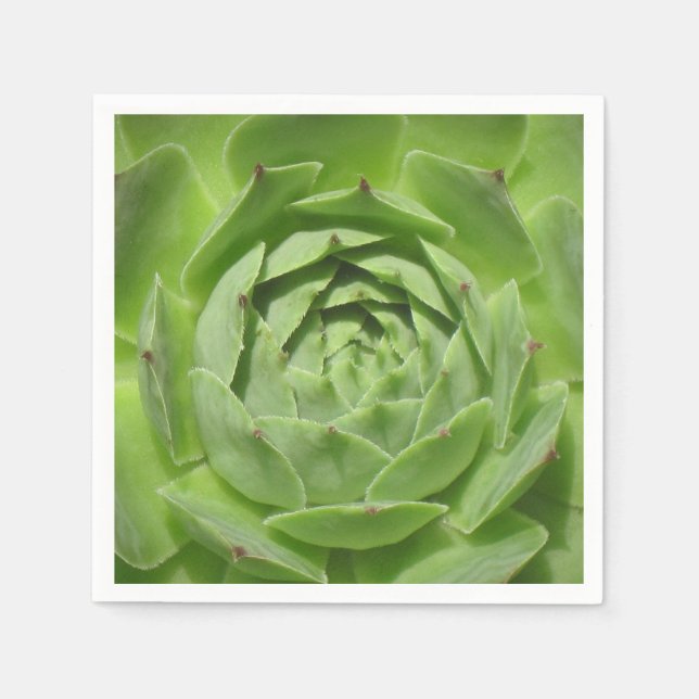 Hens and Chicks Napkin (Front)