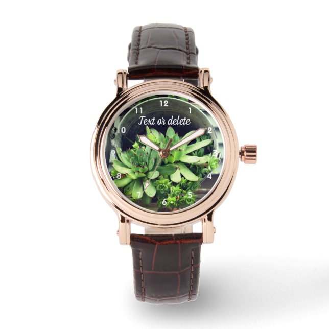 Hens And Chicks Succulents In Bucket Personalised  Watch (Front)
