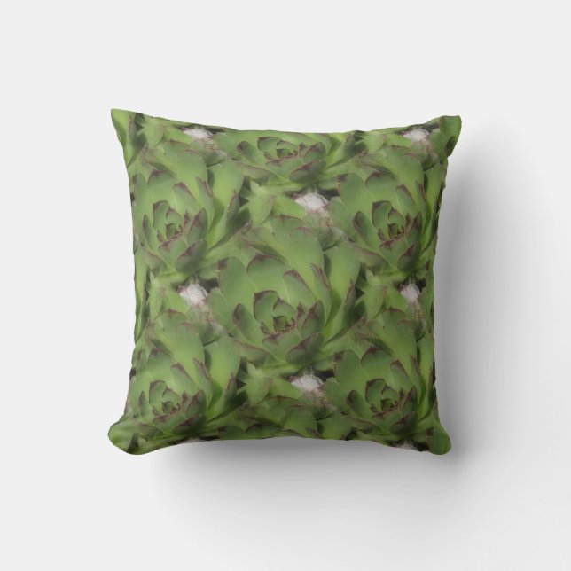 Hens And Chicks Succulents Nature Pattern Cushion (Front)