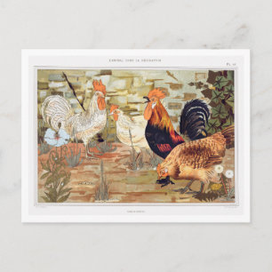Hens and Roosters Illustration by Verneuil Vintage Postcard