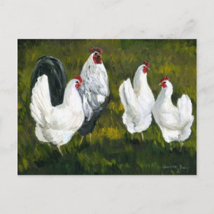 "Hens & Rooster" Art Reproduction Postcard