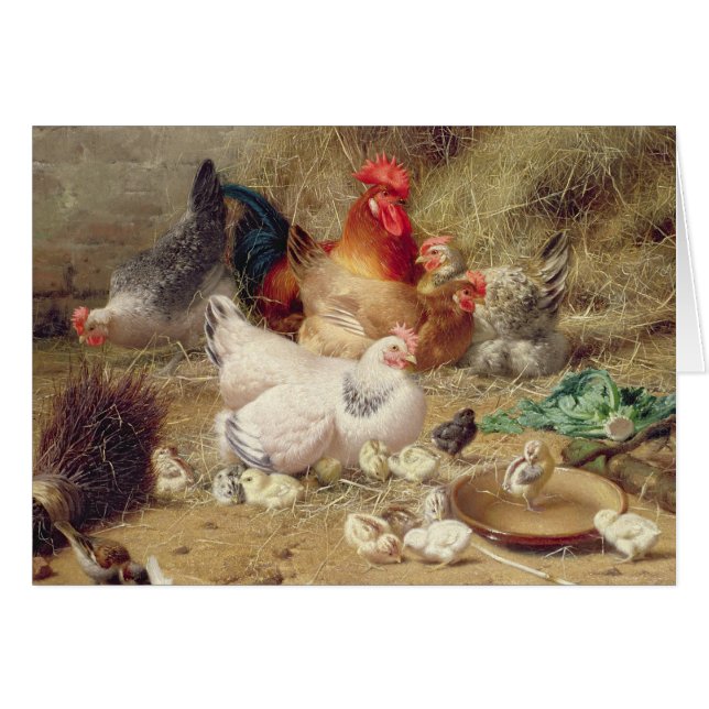 Hens roosting with their chickens (Front Horizontal)