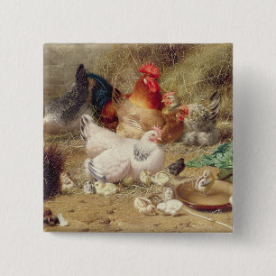 Hens roosting with their chickens 15 cm square badge