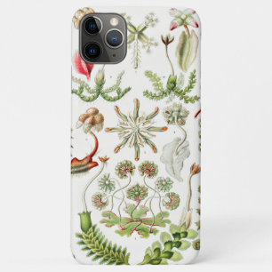 Hepaticae Lebermoose by Ernst Haeckel Case-Mate iPhone Case
