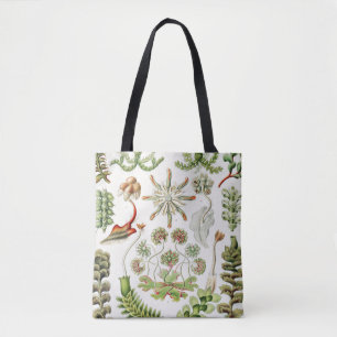 Hepaticae Lebermoose by Ernst Haeckel Tote Bag